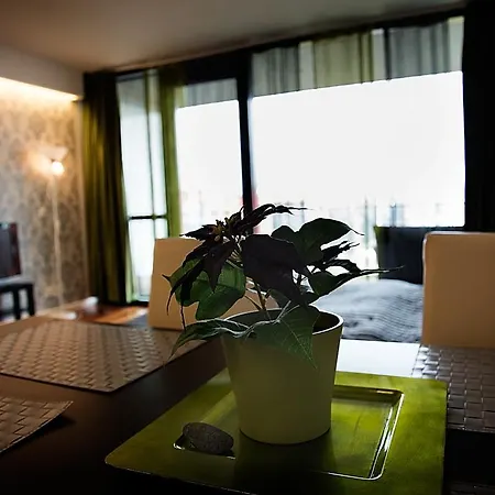 Apartment Modern With View